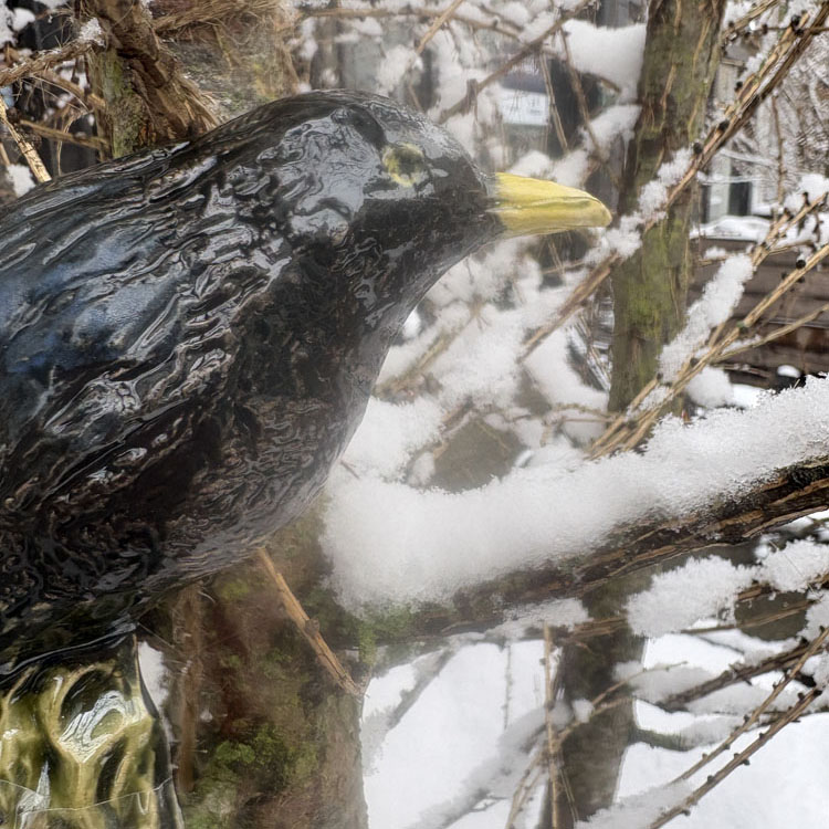 NordicBirds Solsort (han) – håndlavet keramikfugl til væg | PiaV Keramik - Billede 2